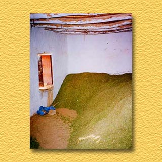 Sitio de almacenaje de la alheña en Marruecos